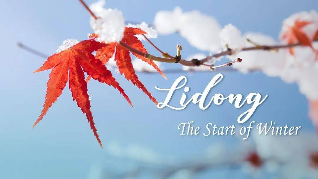 Начало зимы: время отдыха и размышлений